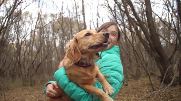 Köpek sahipleri ellerinde oturur ve onu öper. Ağır çekim. — Stok video