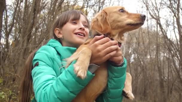 Adolescente menina para coçar seu pescoço de cachorro vermelho . — Vídeo de Stock