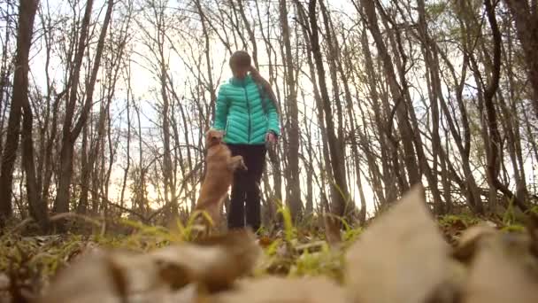 Dívka hraje se svým psem v podzimní golden park. — Stock video
