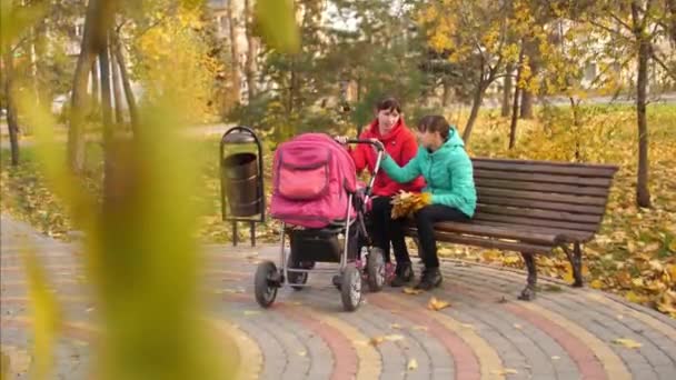 Mutter und Tochter sitzen mit Kinderwagen auf Bank im Herbstpark und unterhalten sich. — Stockvideo