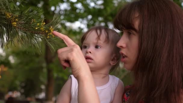 松の木の針を見て赤ちゃんは母親の腕の中に座っています。. — ストック動画