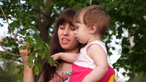 Mamá y el niño están mirando hojas verdes en los árboles en el cálido parque verde . — Vídeos de Stock
