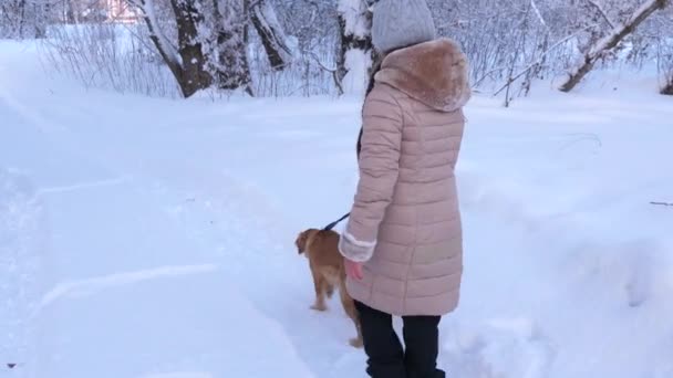 Lapsi, tyttö ja koira ja koira kävelevät polkua pitkin talvella puistossa. Onnellinen perhe ulkoiluttaa lemmikkiään. Lapset leikkivät koiran kanssa lumessa talvella metsässä . — kuvapankkivideo