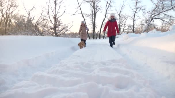 Niños adolescentes viajan en invierno en el parque con un perro. dos niñas y perro y perro caminan a lo largo del camino en el parque de invierno. Los niños juegan con el perro en la nieve en invierno en el bosque. familia feliz paseando a su mascota . — Vídeo de stock