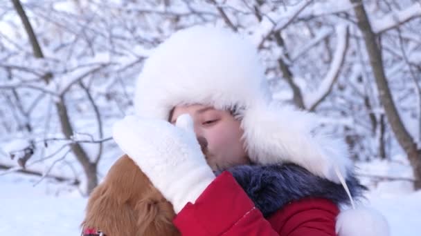 Child plays with his pet on Christmas holidays in the forest. Beautiful girl smiles, caresses her beloved dog in winter in park. girl with a hunting dog walks in winter in forest. dog kisses hostess. — Stock Video