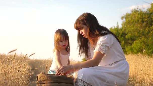 Ziarno pszenicy w rękach dziecka. matka i małe dziecko grają z ziarnem w torbie na polu pszenicy. Baby Girl szczęśliwy matka rolnik gra z małym synem, córką w polu. Koncepcja rolnictwa. — Wideo stockowe