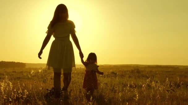 A pequena filha e a mãe andam pelo campo de mãos dadas. O bebé segura a mão das mães. família feliz caminha à noite para fora da cidade. A mãe e o bebé estão a descansar no parque. criança brinca com sua mãe em — Vídeo de Stock