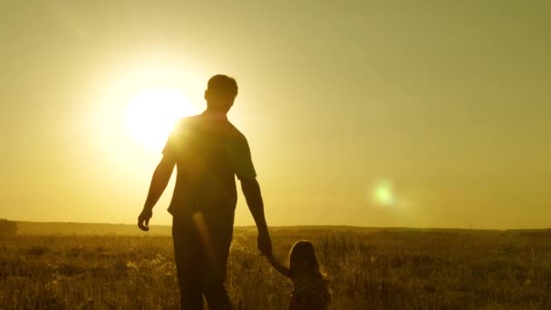 Child holds fathers hand. family walks in evening out of town. little daughter and dad walk around field holding hands. dad and baby are resting in the park. child plays with his father — Stock Video