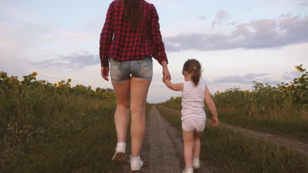 En liten flicka med sin mamma går över fältet med en solros. Jordbruk. Baby och mor på ett fält med gula solrosfrön — Stockvideo