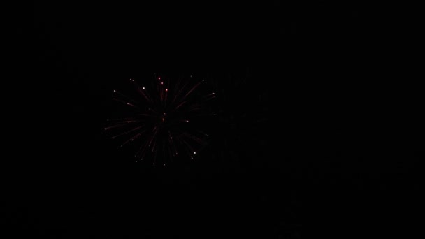 Glühendes Feuerwerk. Farbige nächtliche Explosionen am schwarzen Himmel. schönes mehrfarbiges Feuerwerk am Nachthimmel. Silvesterfeuerwerk. leuchtendes Feuerwerk mit Bokeh-Lichtern in der Nacht — Stockvideo