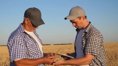 Tabletle tarlada takım halinde çalışan çiftçi ve işadamı. Tarımcı ve çiftçi ellerinde bir buğday tanesi tutuyorlar. Mısır gevreği topluyorum. Bir iş adamı tahılın kalitesini kontrol eder..