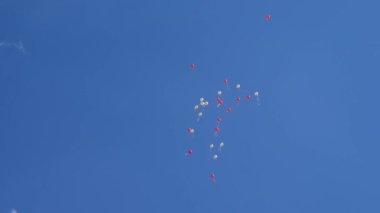 Havada uçan güzel helyum balonları. Havada uçuşan bir sürü renkli balon. tatil kavramı