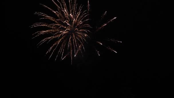 Светящийся фейерверк. цветные ночные взрывы в черном небе. красивые разноцветные фейерверки в ночном небе. Новогодний фейерверк. Яркий фейерверк с боке огни в ночном небе — стоковое видео