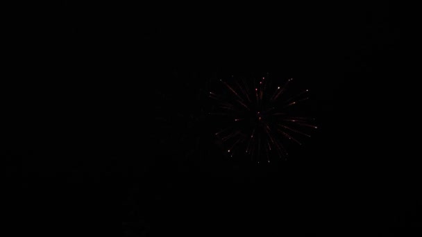 Schönes mehrfarbiges Feuerwerk am Nachthimmel. Silvesterfeuerwerk. leuchtendes Feuerwerk mit Bokeh-Lichtern am Nachthimmel. Glühendes Feuerwerk. Farbige nächtliche Explosionen am schwarzen Himmel — Stockvideo