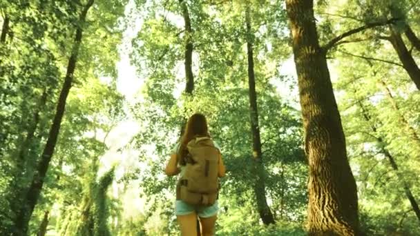 Caminhante mulher caminha na floresta. Viajante menina está andando pela floresta com mochila. menina caminhante feliz no parque de verão. aventuras menina adolescente em férias. viajante sonha em se tornar piloto em voo — Vídeo de Stock