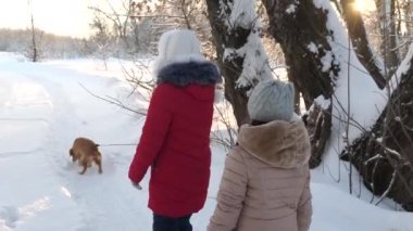 Çocuklar kışın bir köpekle parkta seyahat ederler. İki kız, köpek ve köpek kış parkında yol boyunca yürüyorlar. Çocuklar ormanda kışın karda köpekle oynarlar. Mutlu aile hayvanlarını gezdiriyor..