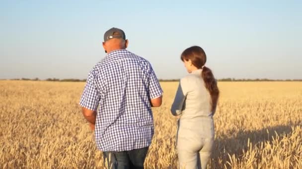 快乐的商人农民在田里讨论小麦. 成熟的谷物和收获。 农艺学家检查小麦的质量. 农业概念。 业务同事 — 图库视频影像