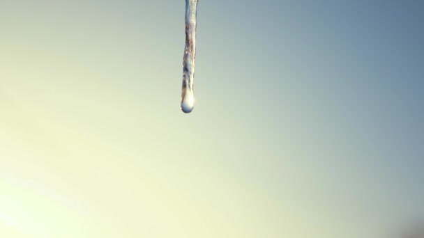 Melting Icicles, against the blue sky. Dripping icicles. Slow motion. closeup Spring drops. — Stock Video