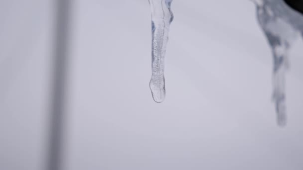 滴水的冰柱。融化的冰柱, 在蓝天的映衬下。特写。春天滴. — 图库视频影像