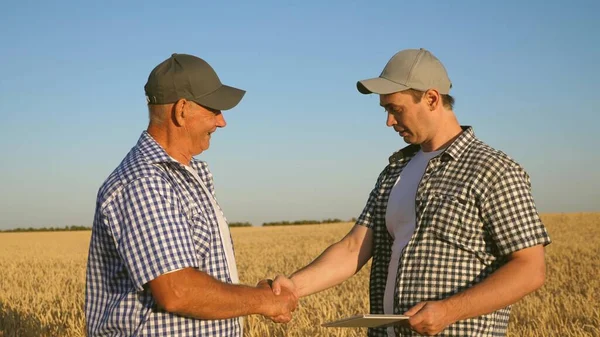 farmer and businessman with tablet working as a team in field. agronomist and farmer are holding a grain of wheat in their hands. Harvesting cereals. A business man checks the quality of grain.