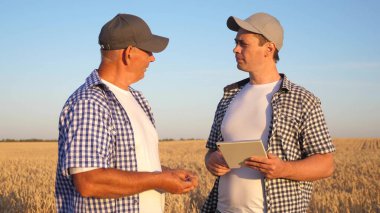 Tabletle tarlada takım halinde çalışan çiftçi ve işadamı. Tarımcı ve çiftçi ellerinde bir buğday tanesi tutuyorlar. Mısır gevreği topluyorum. Bir iş adamı tahılın kalitesini kontrol eder..