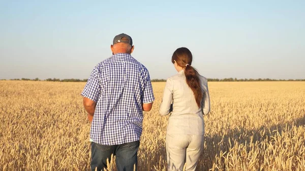 Happy businessmen farmers discuss wheat crop on the field. Ripening grain and harvesting. Agronomists checks the quality of wheat. Agriculture concept. Business colleagues