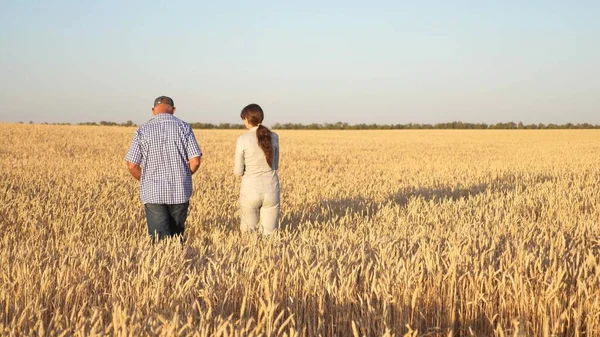 Happy businessmen farmers discuss wheat crop on the field. Ripening grain and harvesting. Agronomists checks the quality of wheat. Agriculture concept. Business colleagues