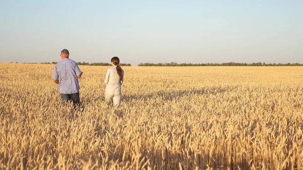 快乐的商人农民在田里讨论小麦. 成熟的谷物和收获。 农艺学家检查小麦的质量. 农业概念。 业务同事 — 图库照片