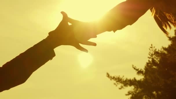 女の子の旅行者は、手を保持し、日没時にトップでお互いを引っ張って、高い山の頂上を征服するお互いを助けます。ハイカー・ガール家族の観光。勇敢のための極端なハイキング。チームワーク旅行者. — ストック動画