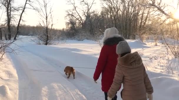 Gyerekek játszanak kutyával télen az erdőben. boldog család sétáltatja a háziállatukat. a gyerekek télen a parkban utaznak egy kutyával. két lány, kutya és kutya sétálnak az ösvényen a téli parkban. — Stock videók