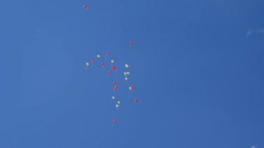 Gökyüzünde kırmızı mavi turuncu pembe renkli balonlar uçuyor. Havada uçuşan bir sürü renkli balon. Kutlama ve doğum günü konsepti. Güzel bir tatil konsepti.