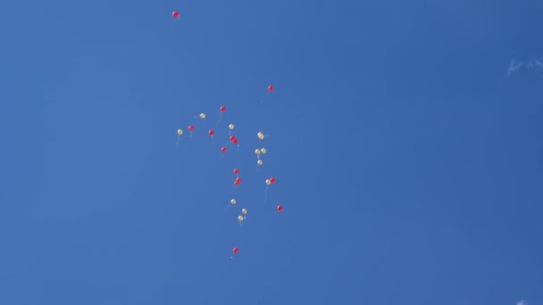 Gekleurde ballonnen vliegen in de lucht, rood blauw geel oranje roze. Veel kleurrijke ballonnen vliegen in de lucht. Feest- en verjaardagsconcept. Het concept van een mooie vakantie. — Stockvideo