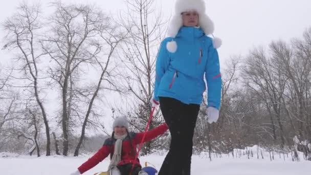 孩子和母亲在雪中滑行。 女儿和妈妈在寒假期间在公园里玩耍。 家庭寒假。 快乐童年的概念 — 图库视频影像