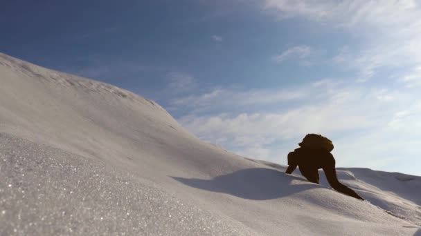 Los escaladores suben a la cima de una montaña nevada en Alaska. trabajo en equipo deseo de ganar. viajeros en el Ártico en una colina en los brillantes rayos del sol. Siberia concepto de turismo deportivo . — Vídeos de Stock