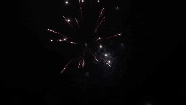 beaux feux d'artifice multicolores dans le ciel nocturne. Au ralenti. spectacle de feux d'artifice lumineux. explosions nocturnes colorées dans le ciel noir. Fête du Nouvel An feux d'artifice. feux d'artifice lumineux avec bokeh .