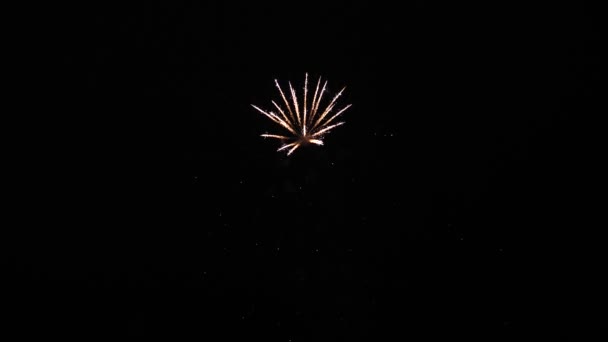 Красивые разноцветные фейерверки в ночном небе. Медленное движение. Светящийся фейерверк. цветные ночные взрывы в черном небе. Новогодний фейерверк. Сияющий фейерверк с боке . — стоковое видео