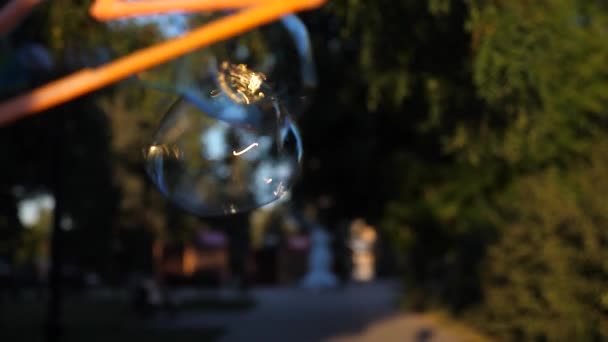Lidé si foukat bubliny v létě městského parku. Děti hrají — Stock video