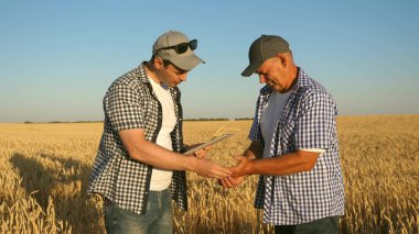Tabletli bir işadamı ve çiftçi tarlada takım olarak çalışıyor. Tarımcı ve çiftçi ellerinde buğday tanesi tutuyorlar. Mısır gevreği topluyorum. Bir iş adamı tahılın kalitesini kontrol eder..