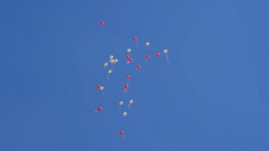 Havada uçan güzel helyum balonları. Havada uçuşan bir sürü renkli balon. tatil kavramı