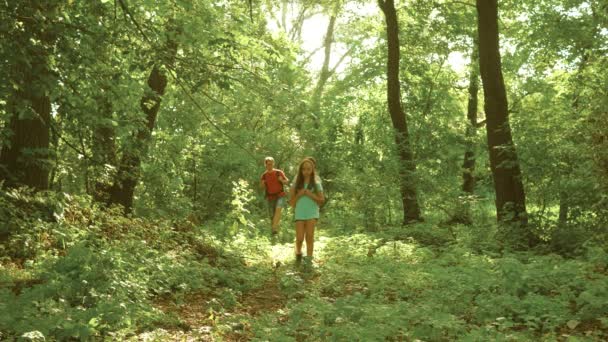 Takım çalışması gezginler. baba ve kızları, çocuklar yaz aylarında parkta seyahat. Tatilde olan aile ormanda seyahat ediyor. arkadaşlar-turistler ormanda kamp gidin. İnsanlar ağaçların ve çimenlerin arasında yürürler.. — Stok video