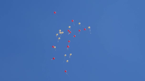 漂亮的氦气气球在空气中飘扬。 许多色彩斑斓的气球在空中飘扬. 假日概念 — 图库视频影像