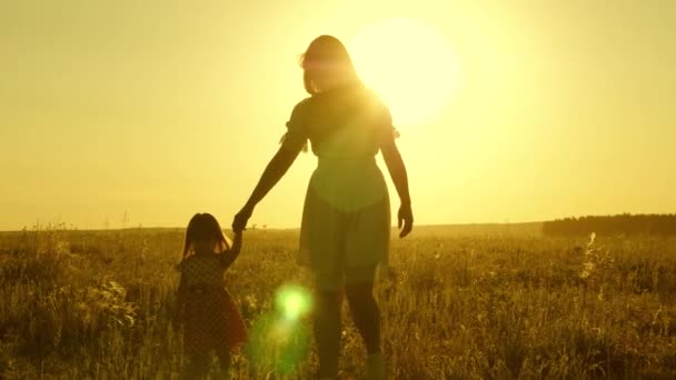 Concept van een gelukkige jeugd. Kleine dochter en moeder lopen rond in het veld, hand in hand. baby houdt moeders hand vast. gelukkige familie met kind wandelingen in de avond buiten de stad. Moeder en baby rusten uit in het park. — Stockvideo