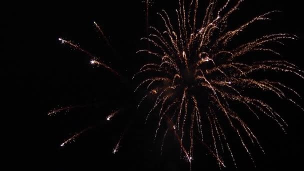 Beautiful multi colored fireworks in night sky. Slow motion. glowing fireworks show. colored night explosions in black sky. New years eve fireworks celebration. shining fireworks with bokeh. — Stock Video