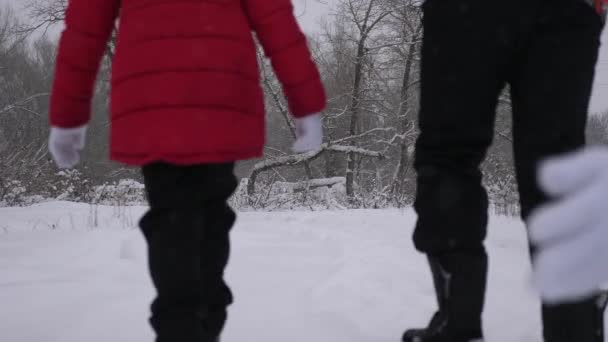 Apa és lánya szánkóztak az anyjukkal a téli erdőben, hóesésben. Boldog szülők és a baba játszanak a karácsonyi parkban. Családi játékok a téli parkban a karácsonyi ünnepek. — Stock videók