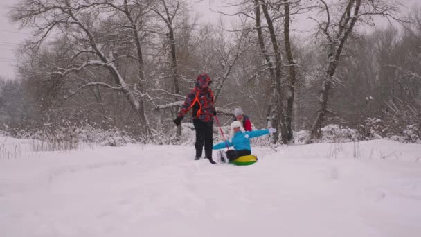 Apa és lánya szánkóztak az anyjukkal a téli erdőben, hóesésben. Boldog szülők és a baba játszanak a karácsonyi parkban. Családi játékok a téli parkban a karácsonyi ünnepek. — Stock videók