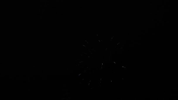 Piękne wielokolorowe fajerwerki na nocnym niebie. Święto noworocznych fajerwerków. lśniące fajerwerki z bokeh światła na nocnym niebie. świecący pokaz fajerwerków. kolorowe nocne eksplozje na czarnym niebie — Wideo stockowe