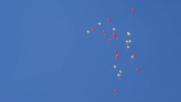 漂亮的氦气气球在空气中飘扬。 许多色彩斑斓的气球在空中飘扬. 假日概念 — 图库视频影像