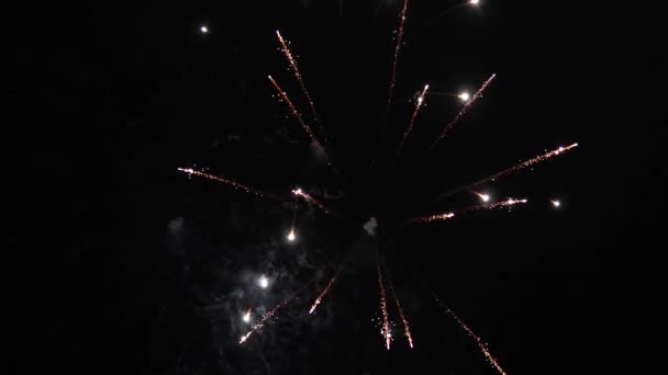 Bellissimi fuochi d'artificio multicolori nel cielo notturno. Al rallentatore. Spettacolo di fuochi d'artificio. esplosioni notturne colorate nel cielo nero. Capodanno fuochi d'artificio celebrazione. brillanti fuochi d'artificio con bokeh . — Video Stock