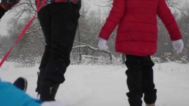 Concept de famille heureuse. La famille joue dans le parc d'hiver pendant les vacances de Noël. papa et sa fille ont traîné leur mère dans la forêt d'hiver en chute de neige. parents heureux et bébé jouent dans le parc de Noël . — Video