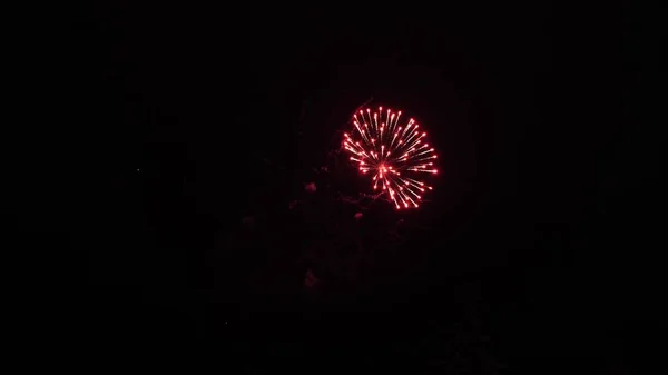 Λαμπερό σόου πυροτεχνημάτων. χρωματιστές νυχτερινές εκρήξεις στον μαύρο ουρανό. όμορφα πολύχρωμα πυροτεχνήματα στο νυχτερινό ουρανό. Πρωτοχρονιάτικα πυροτεχνήματα. λάμπει πυροτεχνήματα με bokeh φώτα τη νύχτα — Φωτογραφία Αρχείου